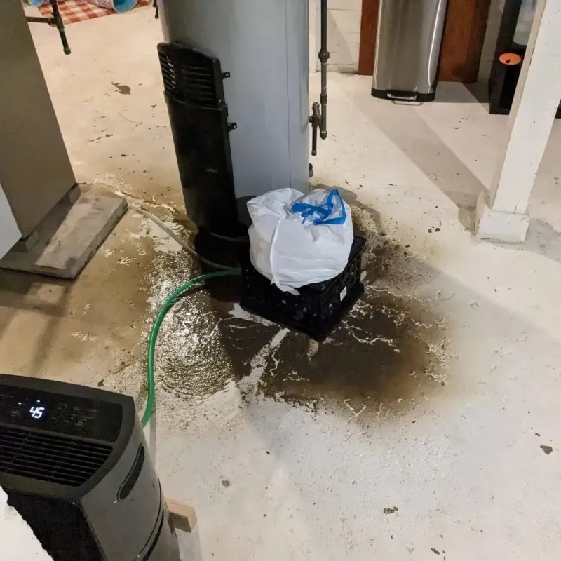 Sewage Backup Cleanup Service in Uhrichsville, OH